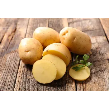 potato (11)-4363344-92471.webp